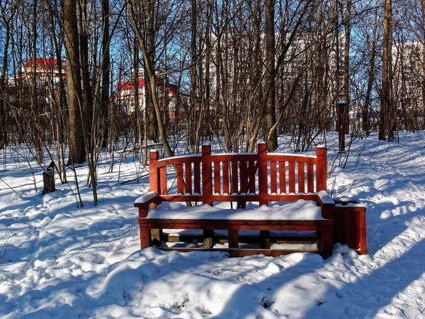 Wooden Bench Winter Forest Moscow — Stock Photo, Image