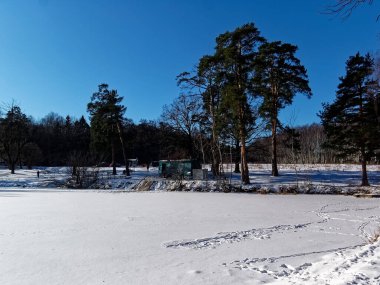 Moskova 'da kışın ormanda küçük bir gölet