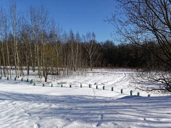 Field Forest Winter Moscow — Stock Photo, Image