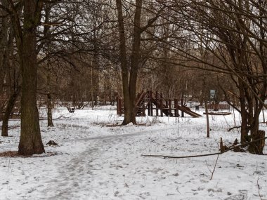 Moskova 'da kışın ormanda bir patikada ayak izleri