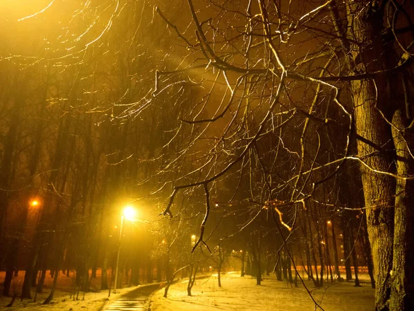 Московській Стежці Яку Вночі Освітлює Ліхтар Взимку — стокове фото