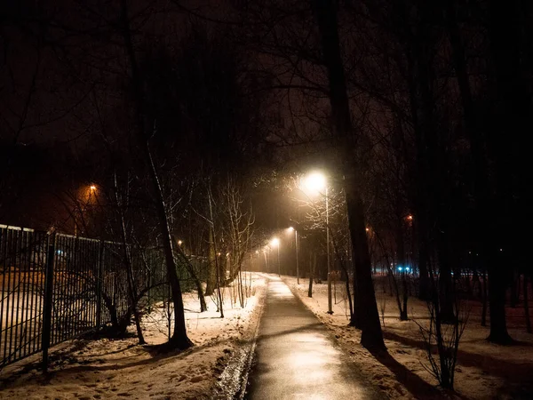 Sentiero Lastricato Alla Luce Una Lanterna Notte Inverno Mosca — Foto Stock