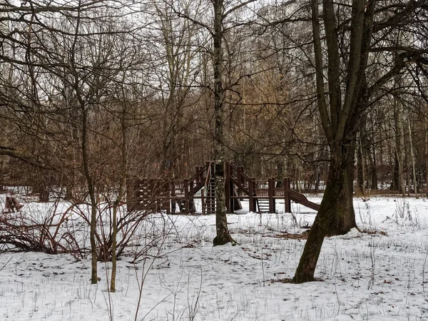 Empreintes Pas Sur Sentier Dans Forêt Hiver Moscou — Photo