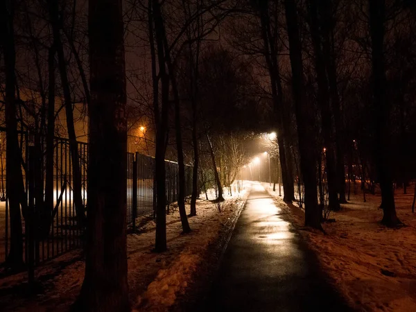 在莫斯科 冬季的夜晚 一盏灯照亮了铺好的小径 免版税图库照片