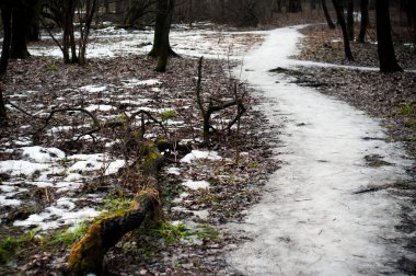 Moskova 'da, ormanda kış yolu