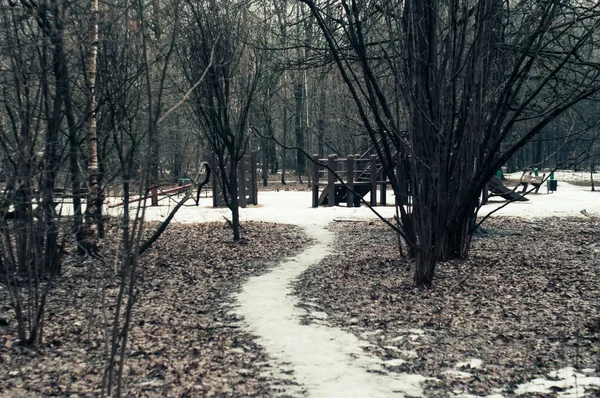 Camino Invierno Bosque Moscú — Foto de Stock