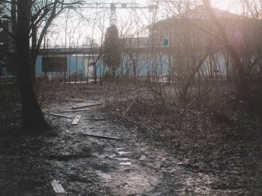 Kışın çalıların arasında kirli bir yol.