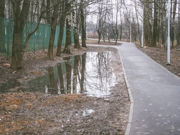 Reflexión de los árboles en un gran charco en primavera — Foto de Stock