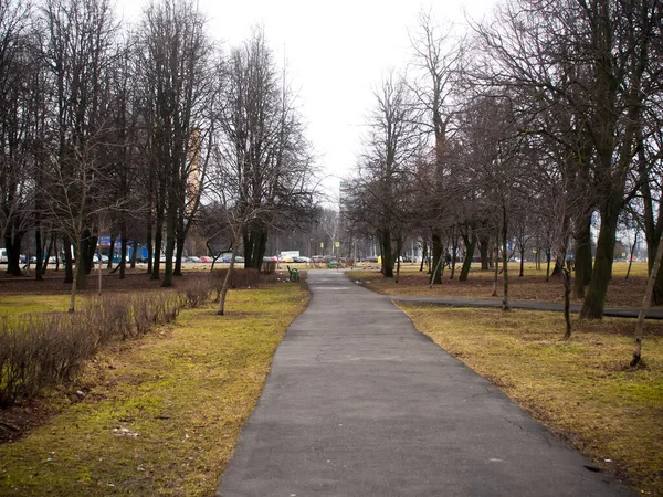 Chodnik brukowany w zaśmieconym parku — Zdjęcie stockowe