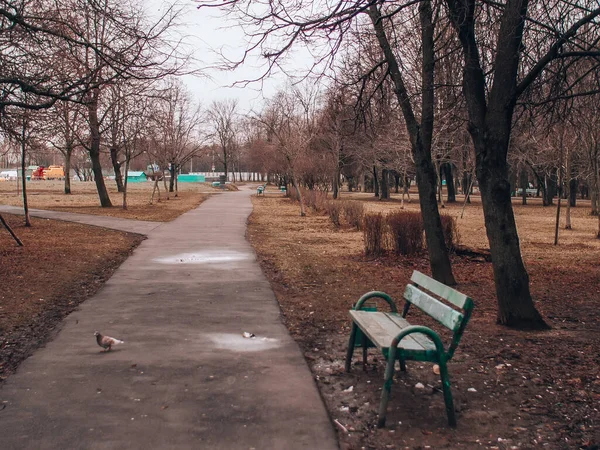 Gehweg im vermüllten Park gepflastert — Stockfoto
