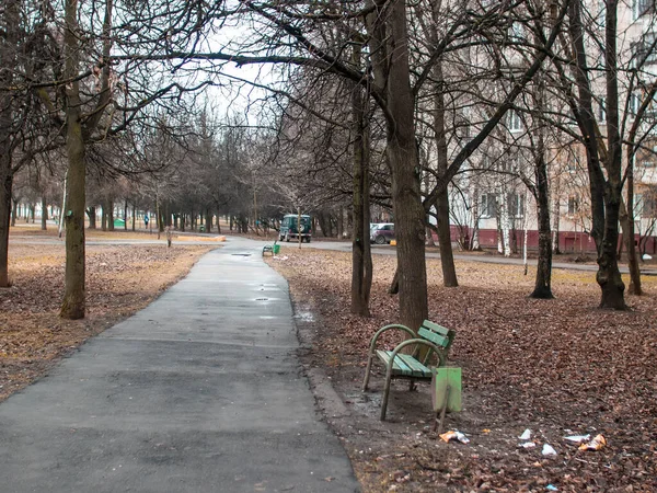 Pasarela pavimentada en el parque lleno de basura —  Fotos de Stock