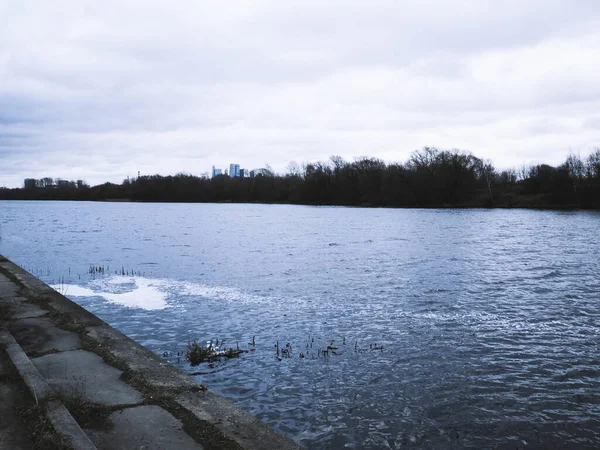 Eenden op de dijk in het voorjaar — Stockfoto