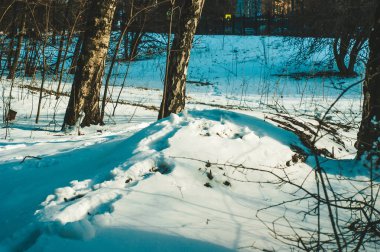 Moskova, Güneşli Orman 'da Kış Günü