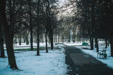 İlkbaharda Moskova 'da parkta ıslak kaldırım geçidi