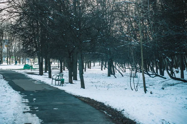 Pasarela Pavimentada Húmeda Parque Primavera Moscú — Foto de Stock
