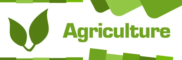 Mezőgazdasági Koncepció Kép Szöveggel Kapcsolódó Szimbólummal — Stock Fotó