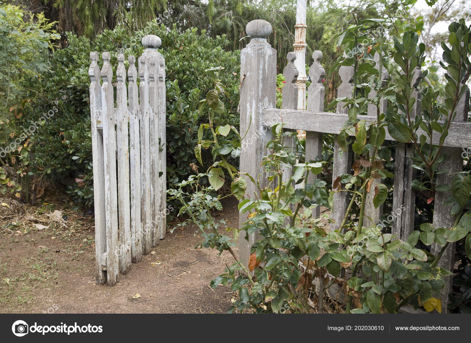 Old Picket Fence Gate Open Quaint Country Garden Stock Photo