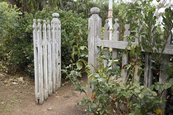 An old picket fence with gate open into a quaint country garden.