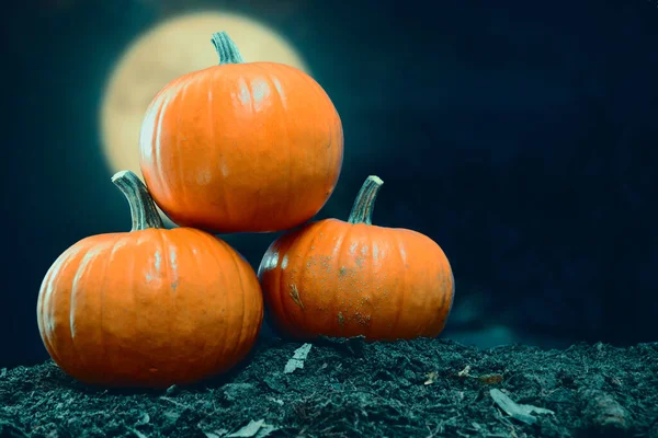 Tre Zucche Halloween Nella Notte Luna Piena — Foto Stock