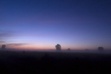 Şafakvakti Kraloo Dwingelderveld üzerinde sisli manzara, Hollanda