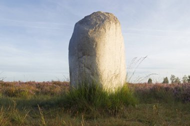 Kraloo Dwingelderveld üzerinde Mor fundalık üzerinde Boulder, Hollanda