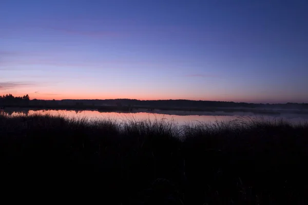 Lac Tourbe Kraloo Dwingelderveld Aube Pays Bas — Photo