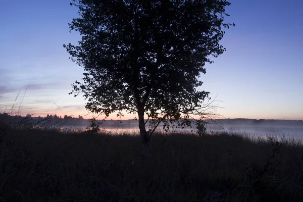 Lago Turfa Kraloo Dwingelderveld Amanhecer Países Baixos — Fotografia de Stock