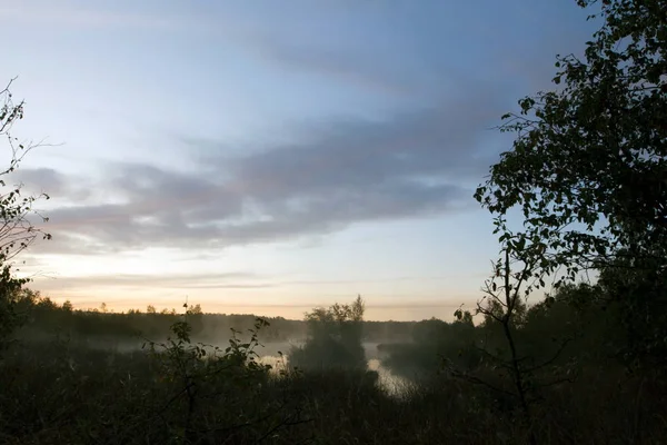 Peat Puddle Sunrise Dwingelderveld Netherlands — Stock Photo, Image