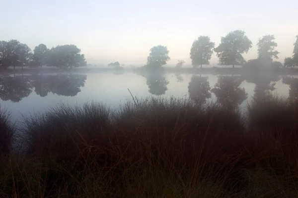 Peat Bog Morning Mist Dwingelderveld Netherlands — Stock Photo, Image