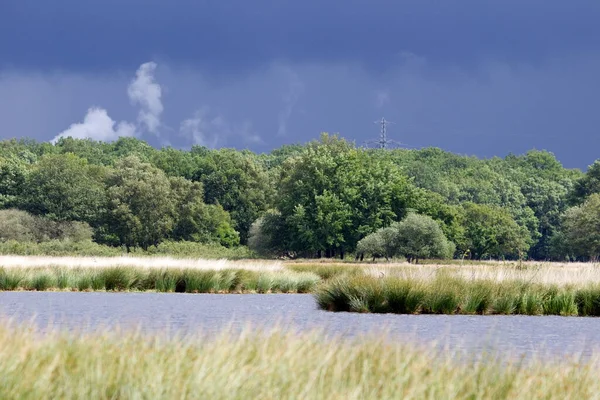 Landschapsopname Met Donkere Wolken Van Boerenveensche Plassen Nederland — Stockfoto