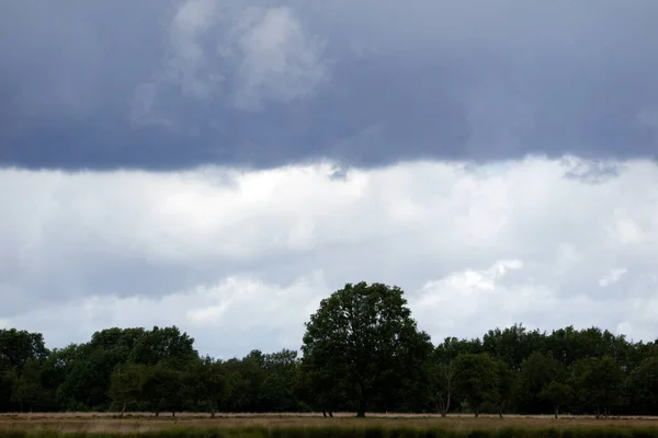 Paisagem Fotografada Com Nuvens Escuras Plassen Boerenveensche Países Baixos — Fotografia de Stock