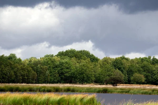 Paisaje Fotografiado Con Nubes Oscuras Del Plassen Boerenveensche Holanda —  Fotos de Stock