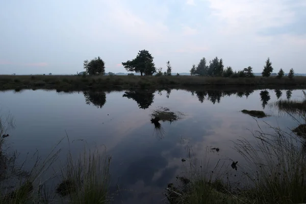 Piscina Turba Con Pinos Dwingelderveld Holanda —  Fotos de Stock