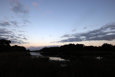 Geceleri Hollanda 'da Terhorsterzand' da turba havuzu