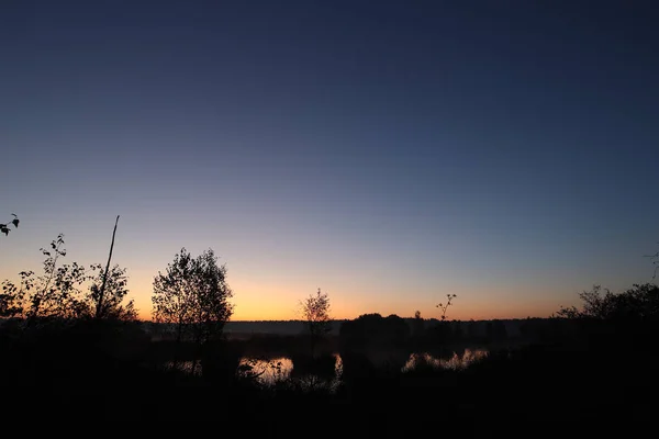 Dawn Dwingelderveld Netherlands — стоковое фото