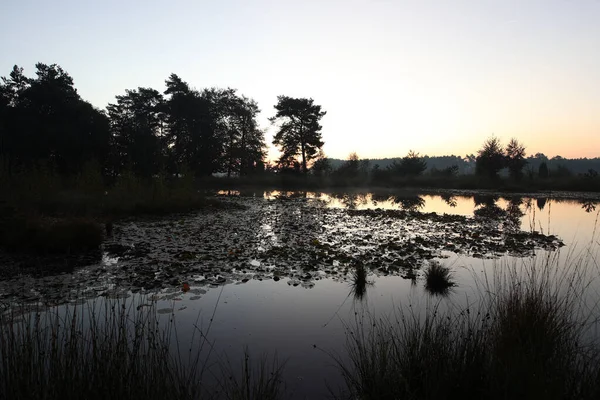 Dawn Dwingelderveld Hollandia — Stock Fotó