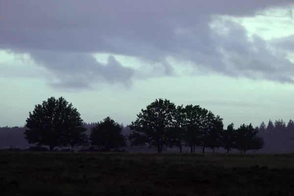 Dwingelderveld Med Tunga Moln Nederländerna — Stockfoto