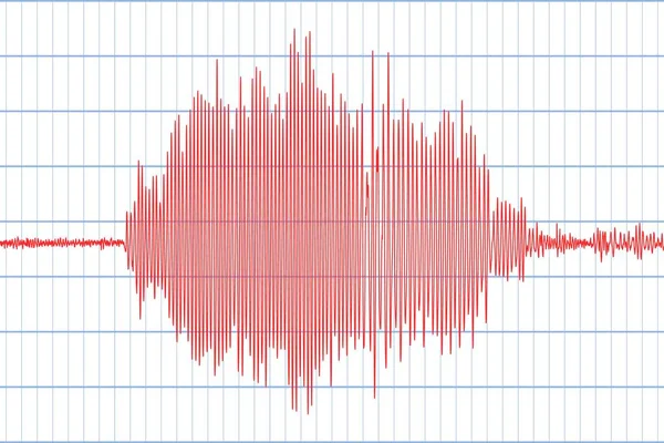 Seismograf och jordbävning. Seismisk aktivitet. Lie detector. Ljudvågen diagram. Vektorillustration — Stock vektor