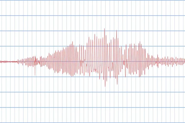 地震計と地震。地震活動。嘘発見器。オーディオの波図。ベクトル図 — ストックベクタ