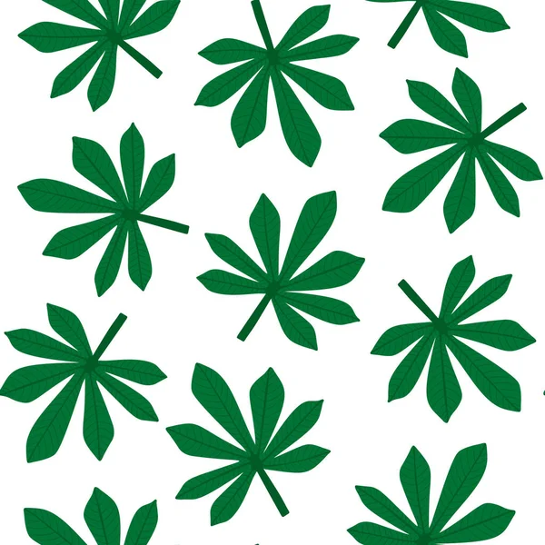 Fatsia yaprağı deseni. Tropik palmiye ağacı pürüzsüz izler bırakır. Vektör illüstrasyonu.