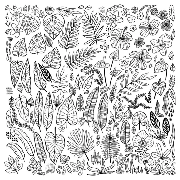 Tropical plants floral doodle set. Esquema de la colección de flores y hojas hawaianas . — Vector de stock