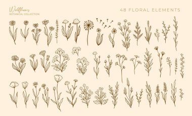 Wildflowers outline hand drawn set. Flower doodle botanical collection. Herbal and meadow plants, grass. Isolated vector illustration. clipart