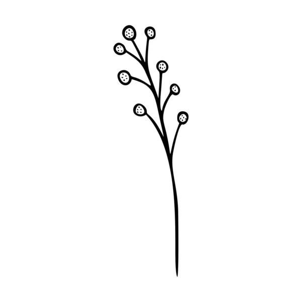 Esquema de flores silvestres elemento dibujado a mano. Hierbas garabato icono botánico. Planta de hierbas y prados, hierba. — Vector de stock