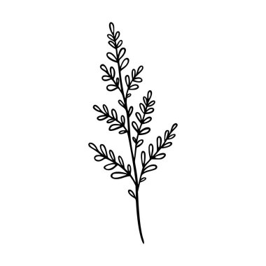 Yaban çiçeğinin ana hatları el çizimi elementtir. Bitkiler botanik ikonu çizer. Bitki ve çayır bitkisi, ot.