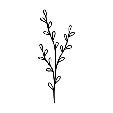 Yaban çiçeğinin ana hatları el çizimi elementtir. Bitkiler botanik ikonu çizer. Bitki ve çayır bitkisi, ot. Logo, düğün ve parmak izi için Rustik çiçek elementi. Vektör illüstrasyonu beyaz arkaplanda izole edildi.