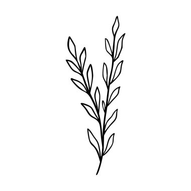 Yaban çiçeğinin ana hatları el çizimi elementtir. Bitkiler botanik ikonu çizer. Bitki ve çayır bitkisi, ot. Logo, düğün ve parmak izi için Rustik çiçek elementi. Vektör illüstrasyonu beyaz arkaplanda izole edildi.