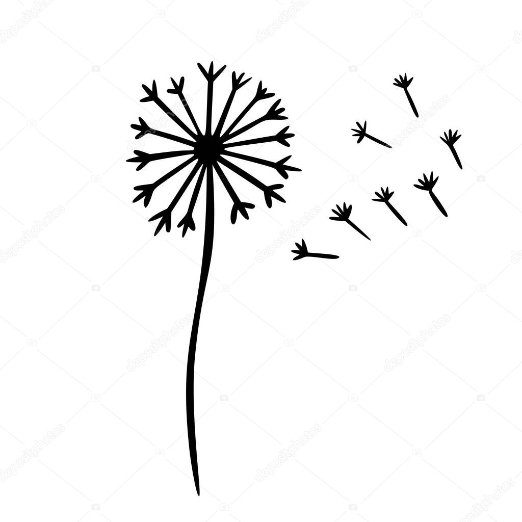 Dangelion outline hand drawn logo element. Herbs doodle botanical icon dangelion for logo. Herbal and medical plant, grass. Modern simple style. Vector illustration isolated on white background.