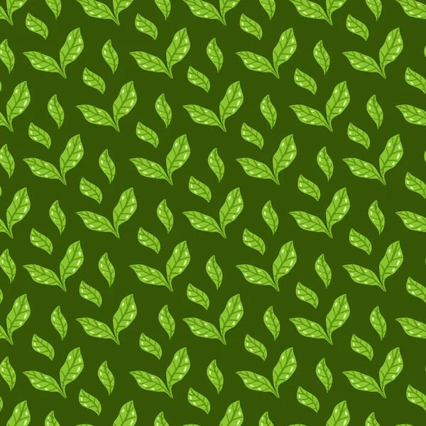 茶叶子图案 无缝花和草本图案深绿色背景 手绘叶背 矢量图解 织物或包装用矢量清晰印刷法 — 图库矢量图片