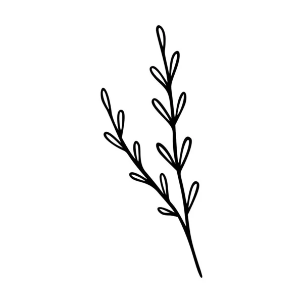 野花轮廓手绘元素 食草动物涂鸦植物图标 草本植物和草本植物 用于标识 印刷品的乡村花卉元素 在白色背景上孤立的向量图 — 图库矢量图片