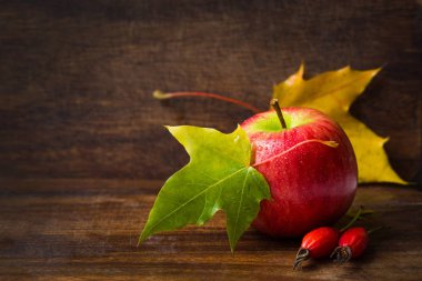 elma, fındık, renkli akçaağaç yaprakları, gül ve anason ile sonbahar arka plan. sonbaharda hasat